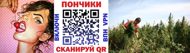 Шишки марихуана VHQ  Купить где  Чусовой 